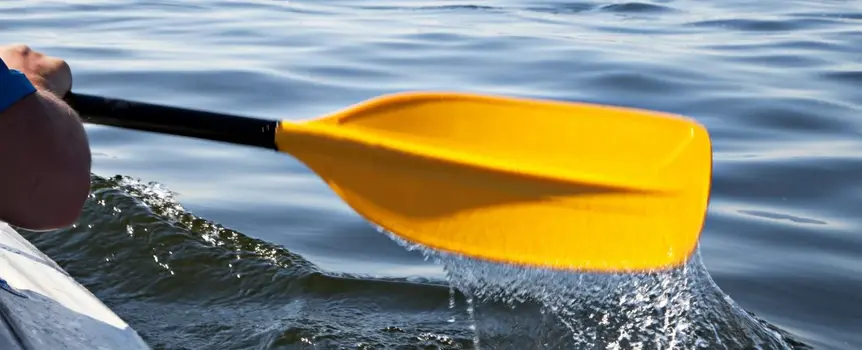 Your Ultimate Guide to Kayaking in West Palm Beach